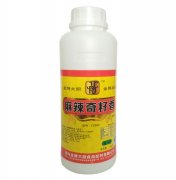 Y2006麻辣奇籽香
